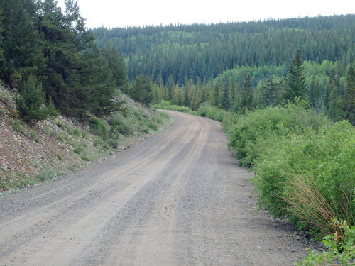 GDMBR: Paralleling Tarryall Creek SE.